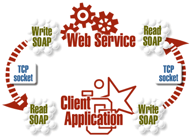 Web Service -- Client Application